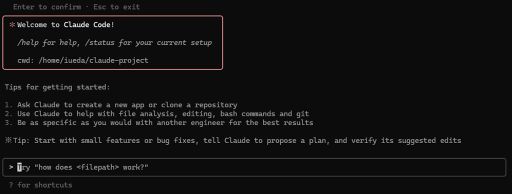 ClaudeCodeにアクセス成功した画面キャプチャ